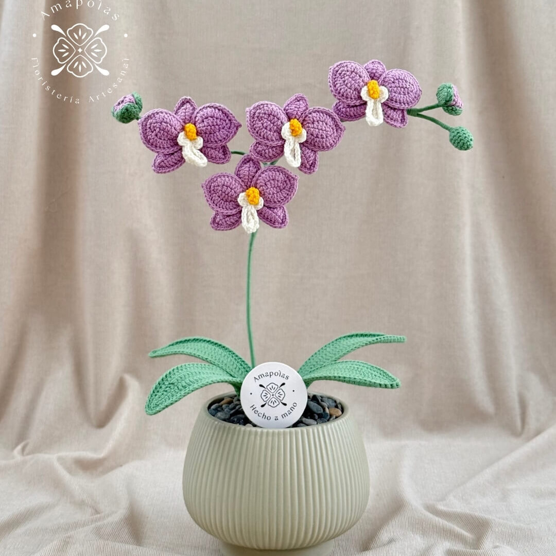 ORQUÍDEA ERIS LILA
