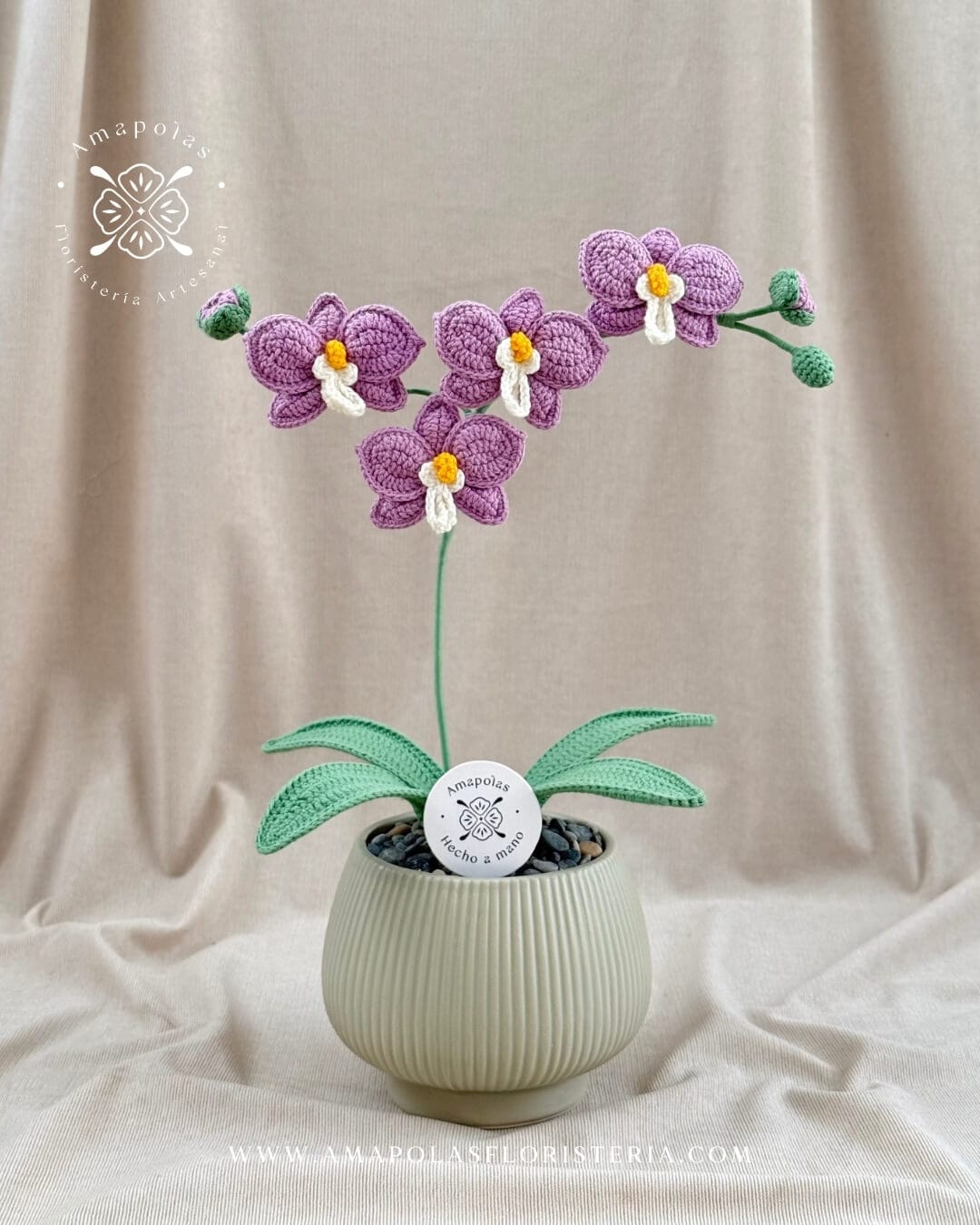ERIS LILA NN (3)