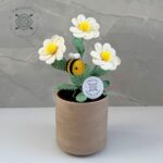 Imagen anterior del producto