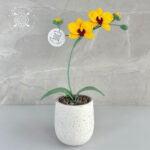 Imagen anterior del producto