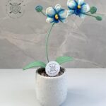 Imagen anterior del producto