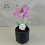 Imagen siguiente del producto