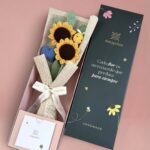 Imagen anterior del producto