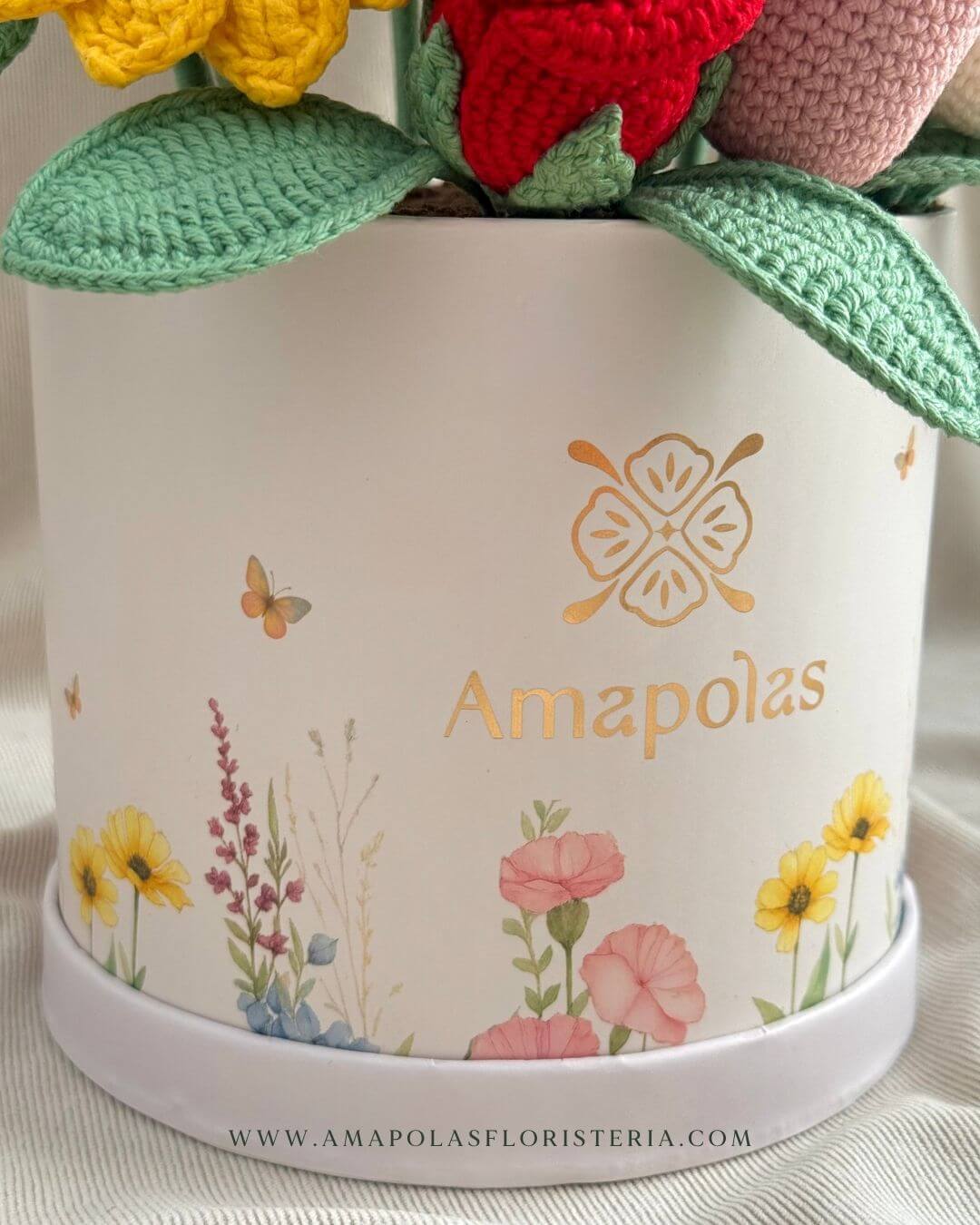 box nuevo (1)