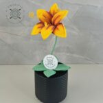 Imagen siguiente del producto