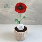 Imagen anterior del producto