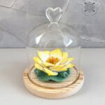 Imagen siguiente del producto