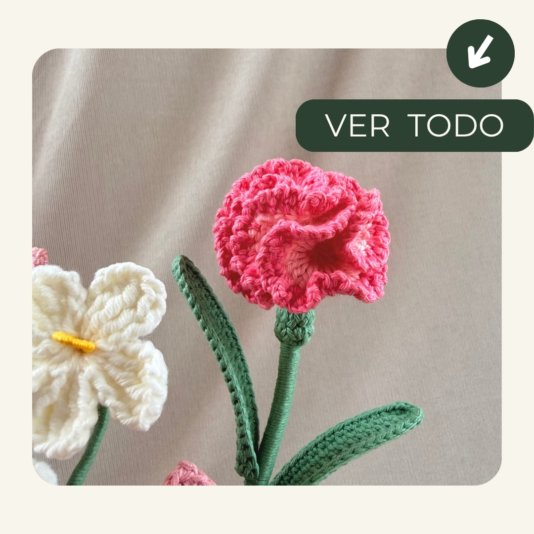 NOVEDADES