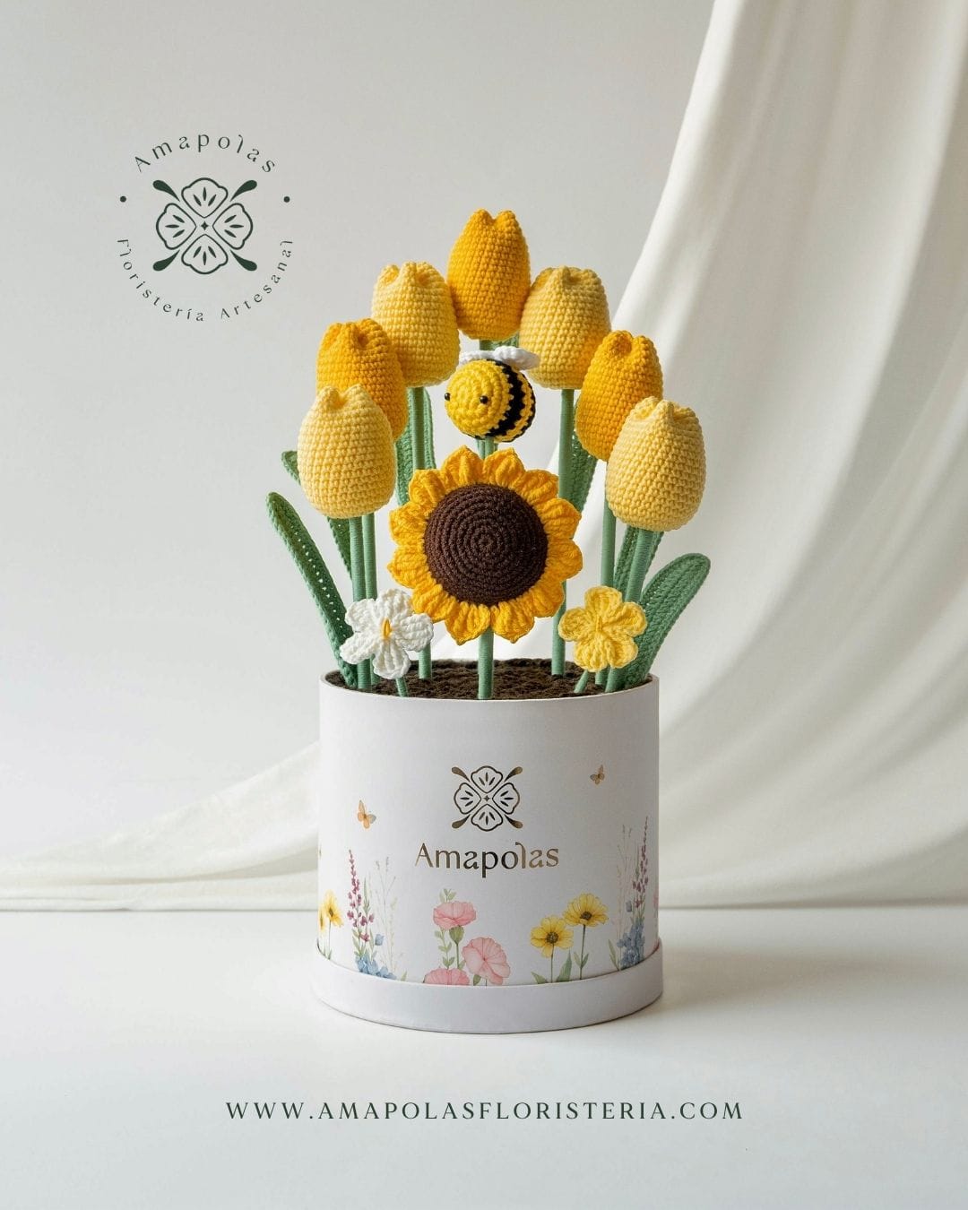 BOX VICTORIA (6)